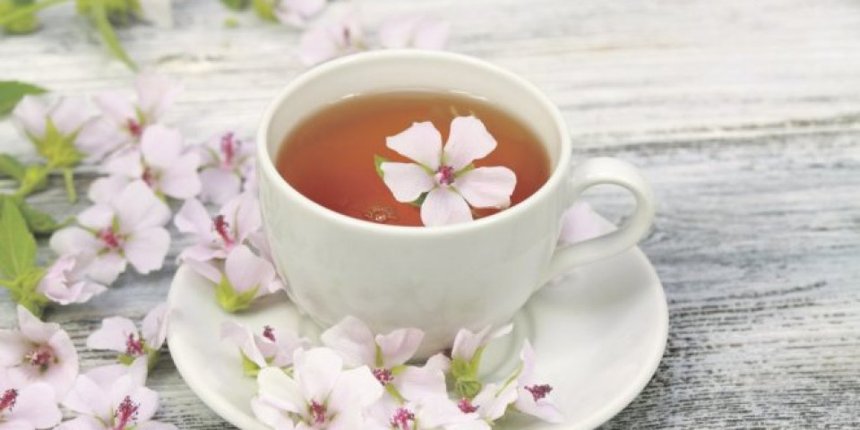 MOĆAN PRIRODNI LEK PROTIV URINARNIH INFEKCIJA: Uvin čaj treba OVAKO piti!