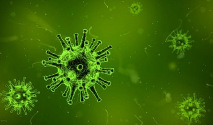 MENJA SE GENETSKI: Osam vrsta novog koronavirusa kruži planetom!
