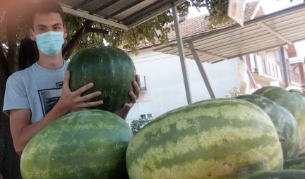 BIRAJTE - "TOP GAN" ILI "KRALJICA STRASTI"?! Danas je Svetski dan lubenice, a evo kako da odabere najslađu! (FOTO)