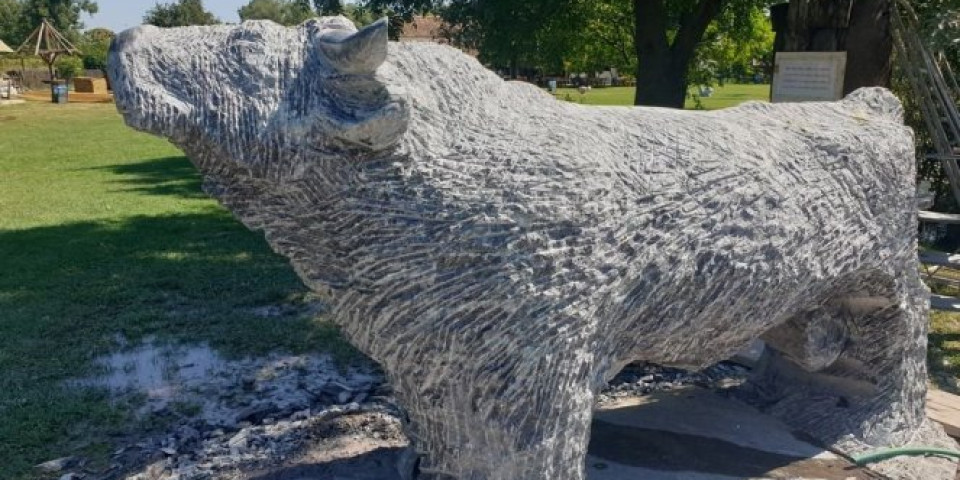 SVETSKA ATRAKCIJA U BARI ZASAVICI: Izvajana skulptura bika od kamena starog milijardu godina!