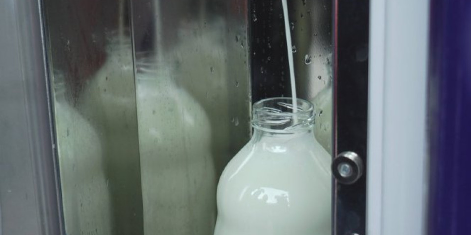 Proizvođači mleka iz Banata: Treba uvesti takse i na uvoz sira