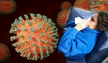 Infektivna mononukleoza, korona, grip, varičele! Šest virusa hara Srbijom - Ovo su simptomi!