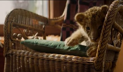 AKO VOLITE FILMOVE...Nova porodična avantura "Vuk i lav" u bioskopima (VIDEO)