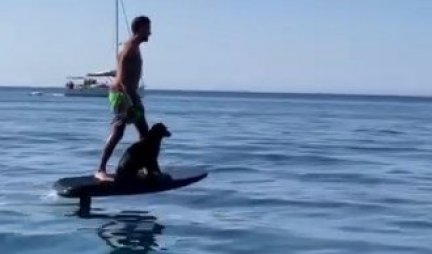 SJAJAN TANDEM! Pogledajte kako ovaj pas SURFUJE s vlasnikom - to je pravo POVERENJE! (VIDEO)