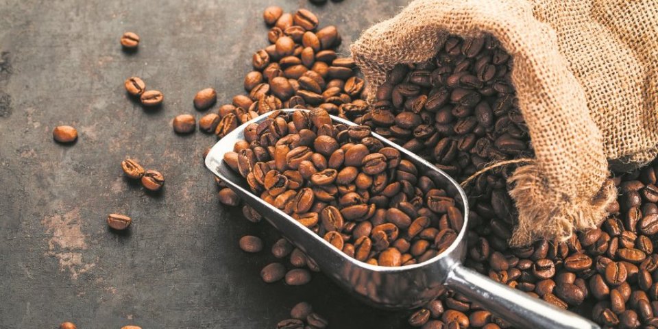 Naučnici otkrili praistorijsko etiopsko poreklo kafe!