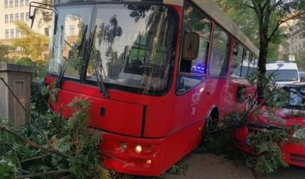 DRAMA U NEMANJINOJ! Autobusu otkazale kočnice, zakucao se u drvo! (FOTO)