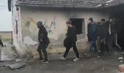 (VIDEO) TURCI I ALBANCI PALI SA 220 KILA MARIHUANE! Uhapšeno pet osoba dok se za jednom traga!