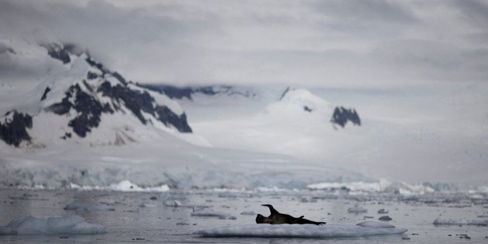 Dao otkaz i otišao da živi na Antarktiku! Temperatura je -76, a godišnje zaradi oko 70.000 evra (VIDEO/FOTO)