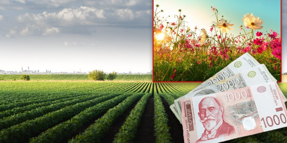 Do 1. aprila rok za podsticaje u biljnoj proizvodnji: Evo koliko novca leže na račune poljoprivrednika!