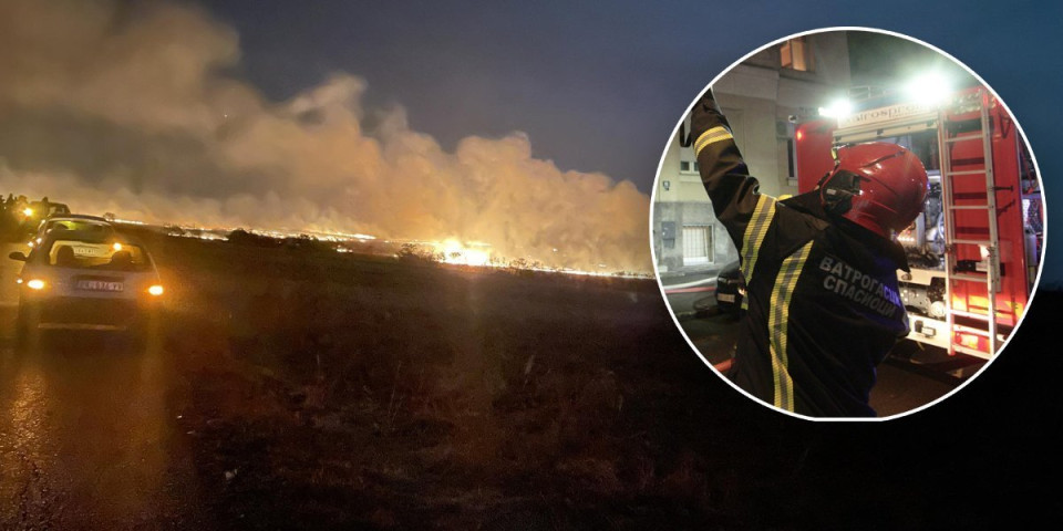 Izgoreo automobil u Zemunu: Vatrogasci na licu mesta