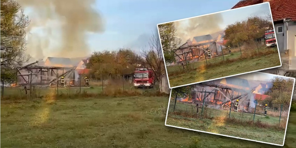 Prvi snimci jezivog požara u Železniku! Nađen leš, vatra se širi (VIDEO)