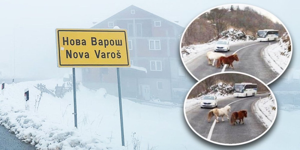 Vozači trljaju oči u neverici: Dva ponija izazvala opšti haos na putu za Novu Varoš!