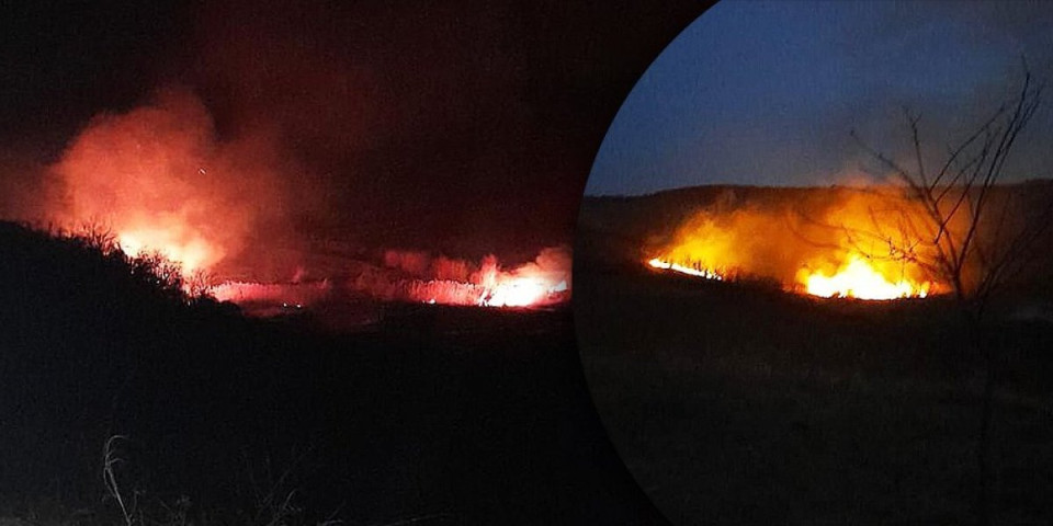 Bukti vatra u okolini Novog Sada! Ogroman požar zahvatio rastinje - Vatrogasci na licu mesta (FOTO)