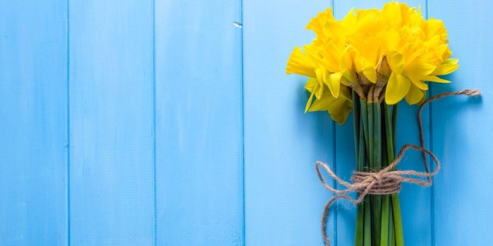 Obratite pažnju! Cvetove narcisa obožavate u svom domu, a ne znate šta nose sa sobom