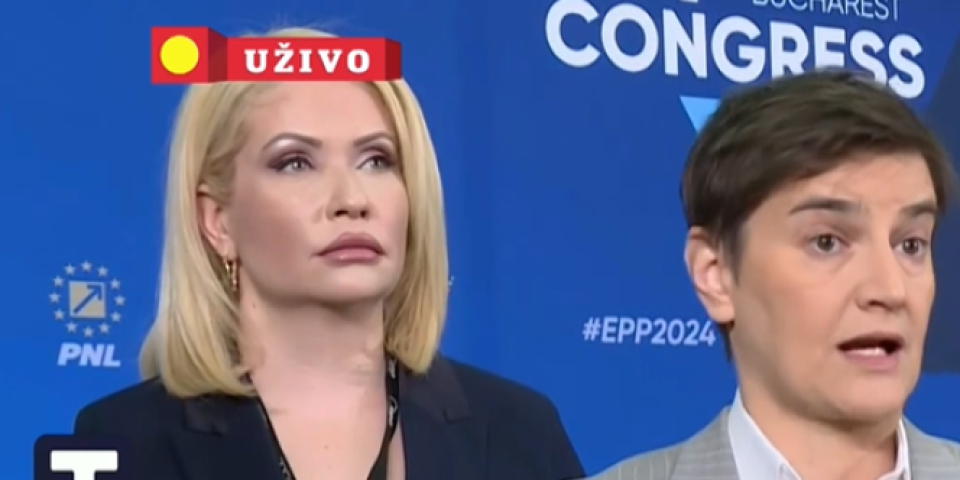 Premijerka Srbije iz Bukurešta - Jedina vizija opozicija jeste da su protiv predsednika Vučića (VIDEO)