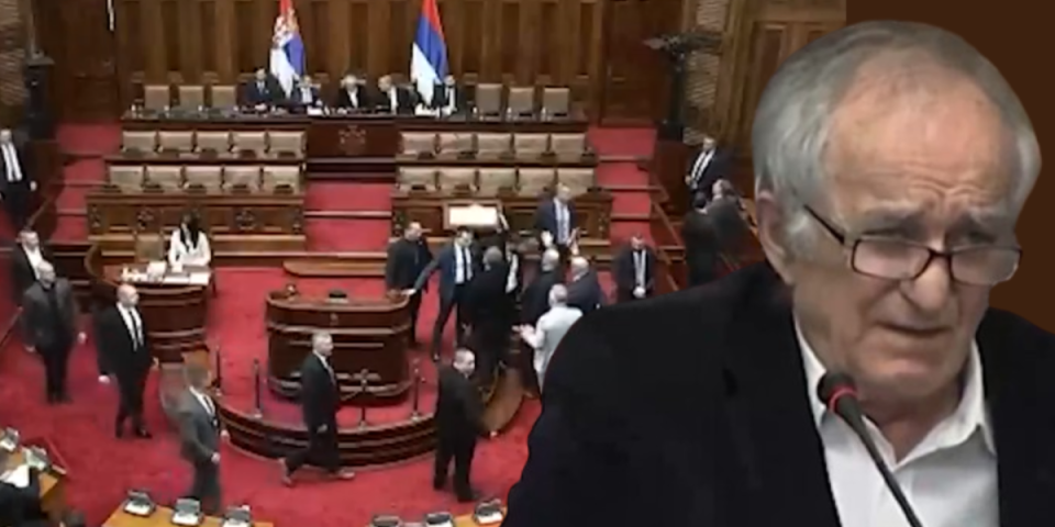 (VIDEO) Linč profesora Radenovića! Opozicioni cirkus u Skupštini, moralo da reaguje obezbeđenje!