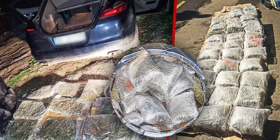 Policija pronašla i zaplenila 52 kilograma marihuane i novac: Uhapšene dve osobe u Surčinu i Inđiji