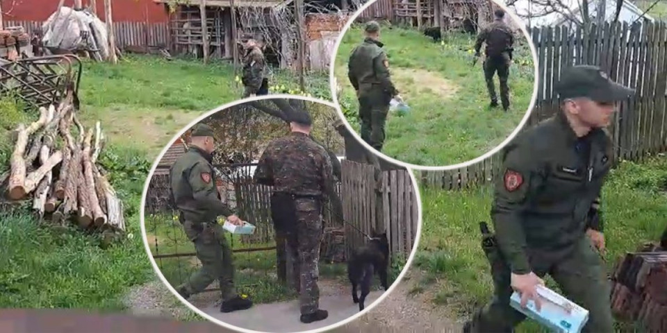 Psi tragači uleteli u dvorište Dankinog ubice! Evo šta se trenutno dešava u selu Luka (FOTO/VIDEO)