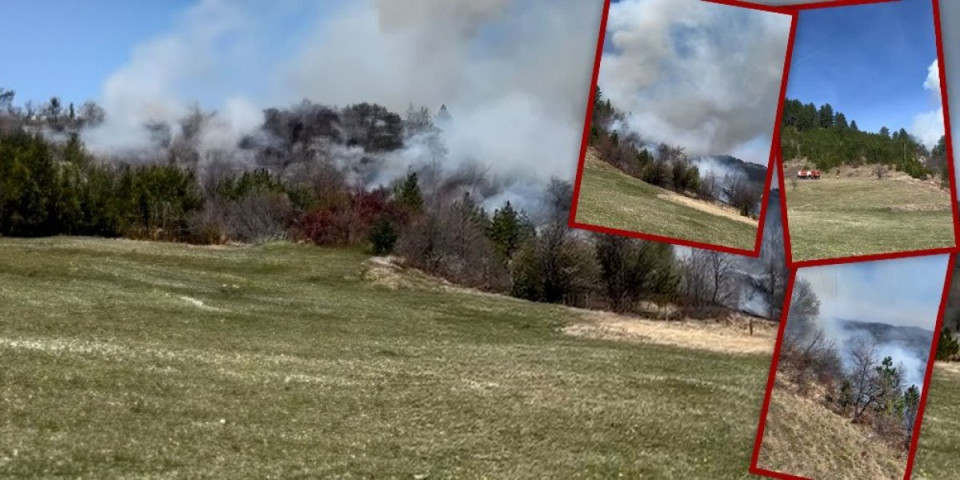 Veliki požar na Zlatiboru! Gori suva trava i nisko rastinje. Plamen prei obližnjoj šumi! (VIDEO)