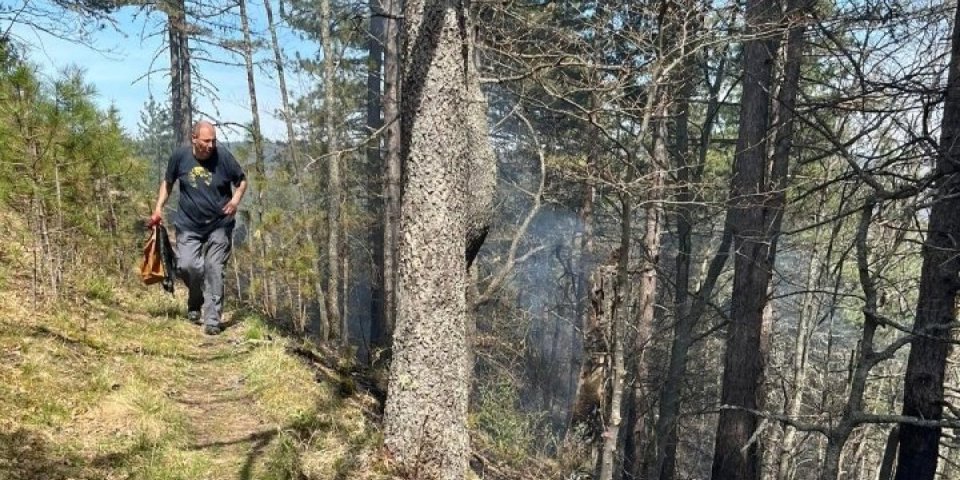 Vatrogasci otklonili opasnost! Lokalizovan požar na Zlatiboru koji je pretio da zapali šumu! (FOTO)