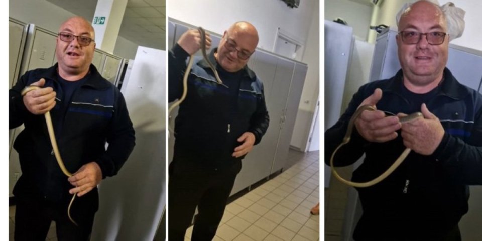 "Žene vrište, ne veruju svojim očima" Neverovatan slučaj u Vranju: Vladica iz ormara izvukao zmiju dugu skoro metar! (VIDEO)