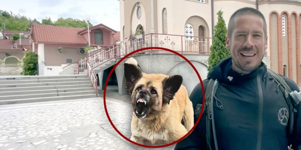 (VIDEO) Čopor krvoločnih pasa napao Nikolu Rokvića! Agresivni i sa iskeženim zubima umalo povredili pevača!