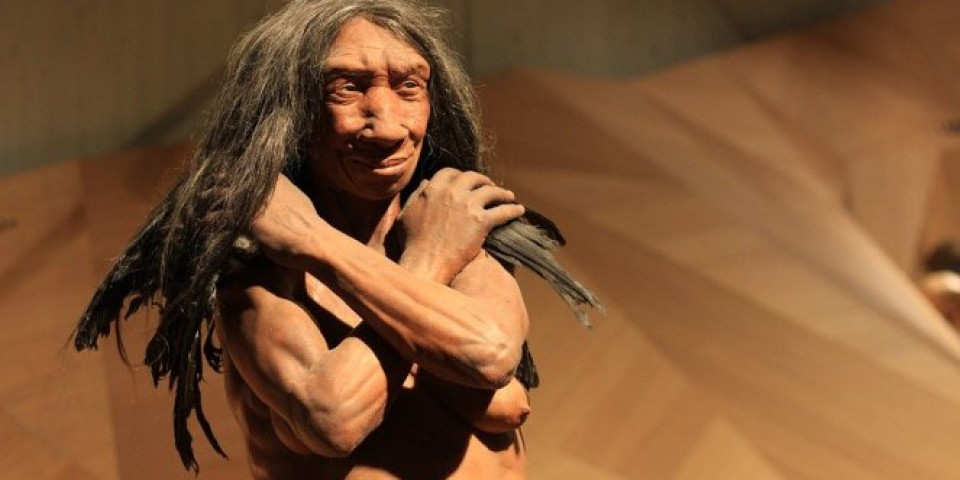 ŠOK OTKRIĆE VEKA! Naučnici rekonstruisali lice devojke koja je živela pre 7.000 godina! (VIDEO)