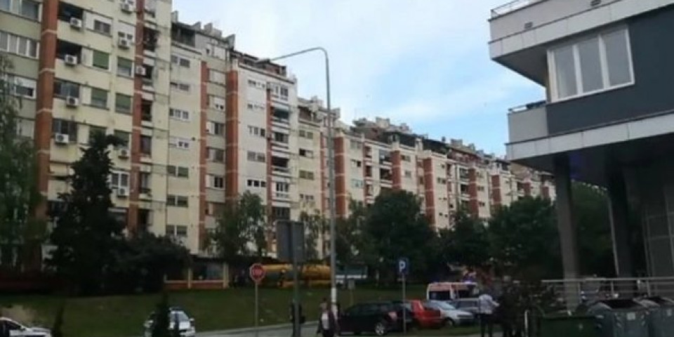 U ČEMU JE TAJNA OVOG NASELJA?! Nadomak Beograda kvadrat i za 170 evra, ljudi prodaju stanove da bi došli do "vikenduše" u...