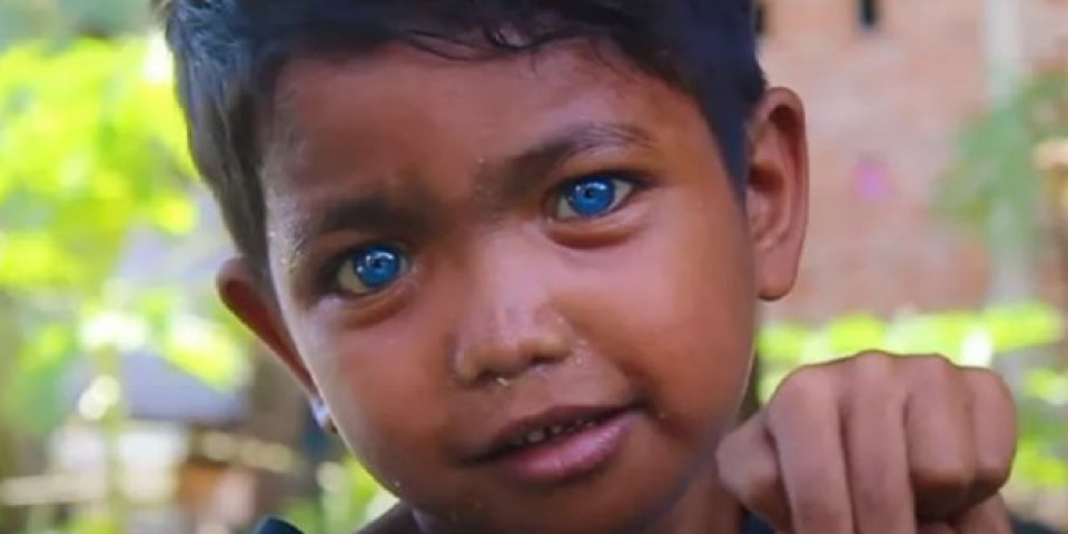 PLEME POSTALO POPULARNO ZBOG neobično plave boje očiju! Posetioci hrle samo da bi ih slikali (FOTO/VIDEO)