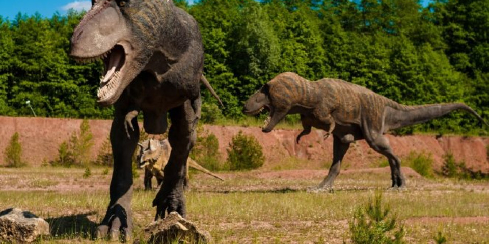NEVEROVATNO OTKRIĆE U ARGENTINI: Otkriveni ostaci NOVE GIGANTSKE vrste dinosaurusa (FOTO)