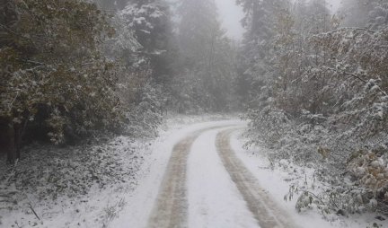IZ LETNJE GARDEROBE ODMAH PREŠLI U KAPUTE! Zabeleli se lokalni putevi, sneg već satima veje na Tari!