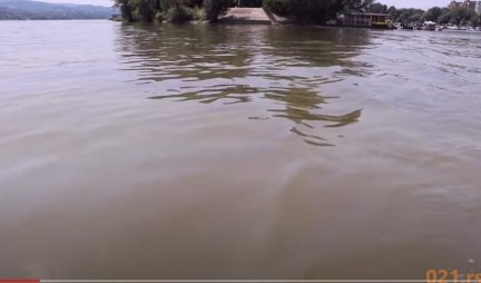 OVAKO IZGLEDA DUNAV NAKON IZLIVANJA 35.000 LITARA GORIVA Prvi snimci sa mesta ekološke katastrofe (VIDEO)