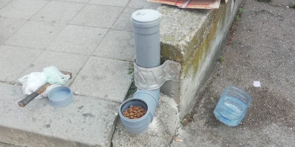 Na ulici osvanule hranilice! Teška sudbina prokupačkih pasa lutalica biće bar malo lakša! (FOTO)