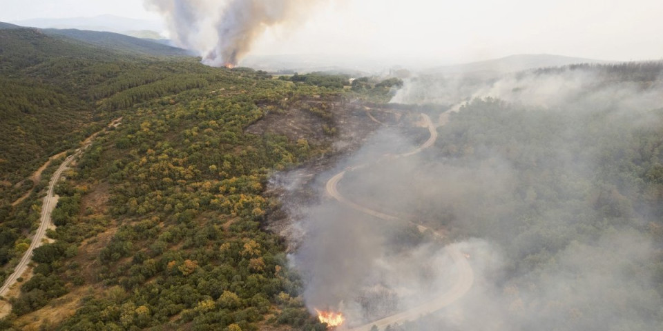Grčka pojačava snage za gašenje požara, smrtonosna vatrena stihija bukti već 10 dana!