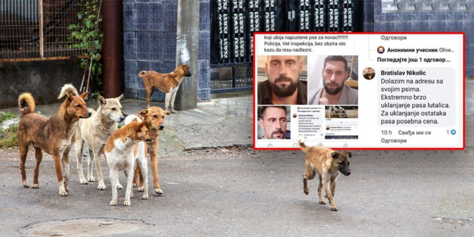 Monstrum! Bratislav iz Pirota ima cenovnik za ubijanje životinja! Dolazim sa svojim psima, brzo rešavamo stvar...