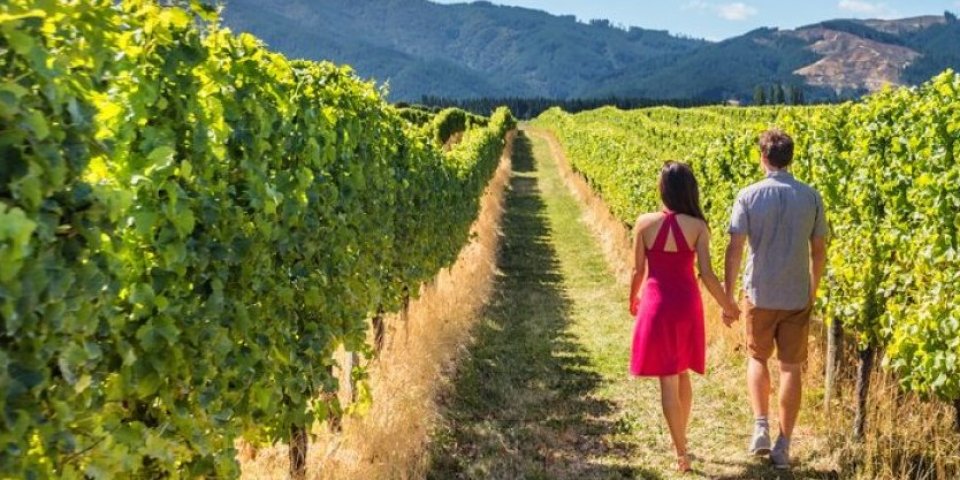 Uživajte u poljima lavande i predivnim vinogradima! Ovo su 3 najlepše destinacije za romantičan vikend u Srbiji za dvoje