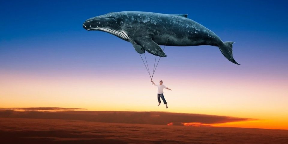 Izazov Plavog kita! Jeziva samoubilačka igra koja je potresla ceo svet i odnela živote mnogih tinejdžera