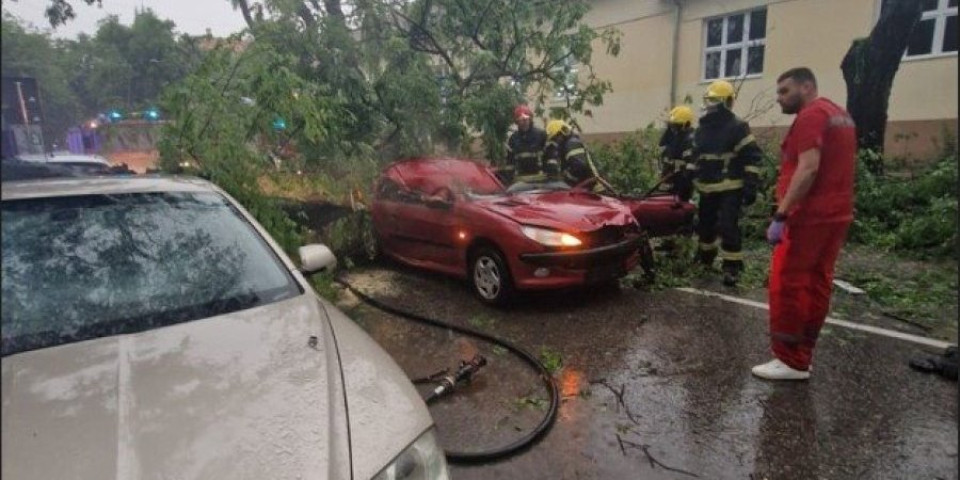 Drvo palo na kola, žena poginula! Tragedija u Somboru usled jakog nevremena: Građanima izdato hitno upozorenja