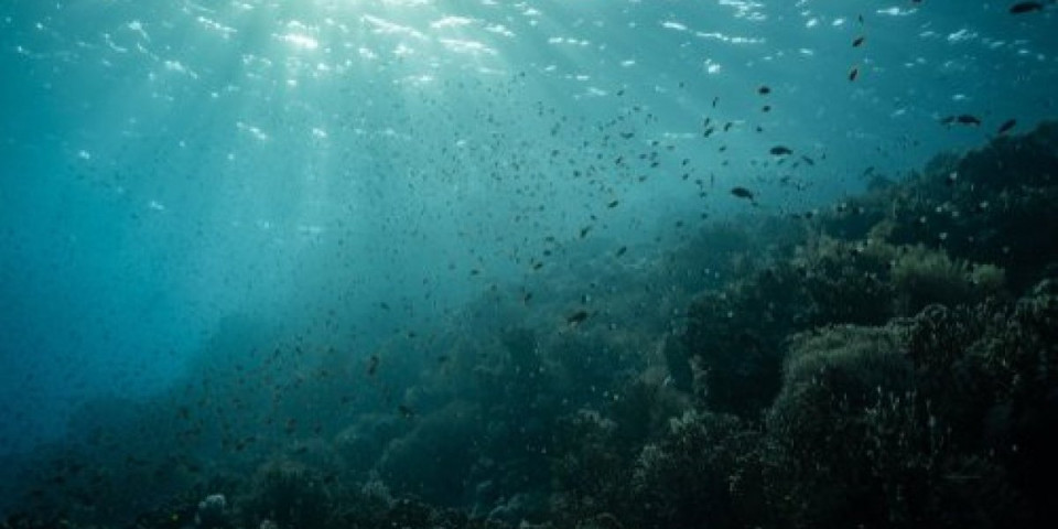 Na dnu okeana su otkrivene misteriozne pukotine! Naučnici nisu mogli da veruju šta vide (VIDEO)